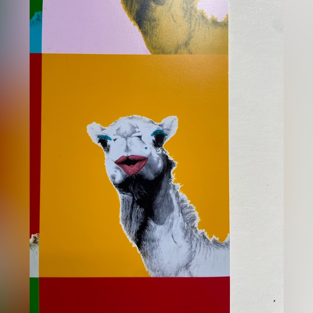 Colourful Camel 🐪 Print - Picture 7 of 9